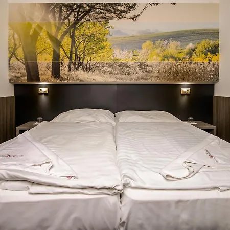 Andante Pension&restaurant 3* Szentgotthárd